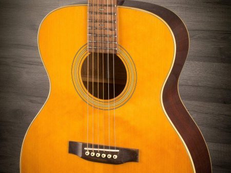 USED - Recording King RO-17 Acoustic Guitar on Sale