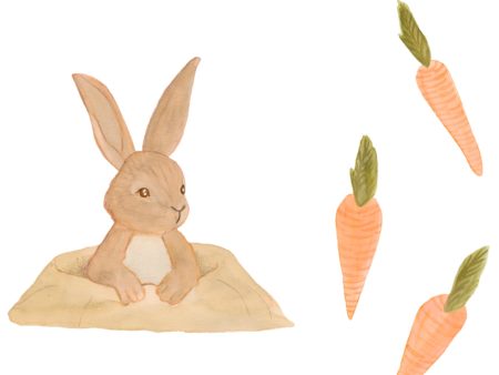 That s Mine Multi Wall Stickers Bunny and Carrots Online now