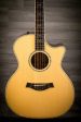 USED - Taylor 914CE Electro Acoustic Guitar on Sale