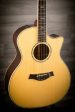 USED - Taylor 914CE Electro Acoustic Guitar on Sale