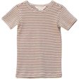 Serendipity Acorn Offwhite Stripe T-shirt Short Online