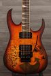 USED - Ibanez RG320PG-P2 Standard -  Secret Intention  Graphic For Discount