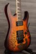 USED - Ibanez RG320PG-P2 Standard -  Secret Intention  Graphic For Discount