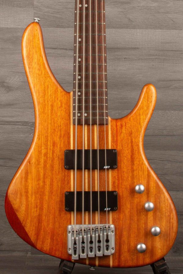 USED - Washburn Force ATB 5 String Bass Discount